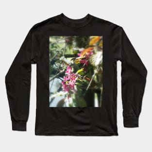 red Malus 'Radiant' crab apple blossoms #12 Long Sleeve T-Shirt